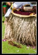 The Lei offering at the Torah